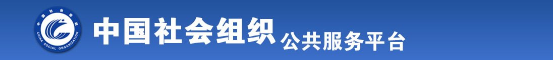 男生捅男生屁眼免费网站全国社会组织信息查询